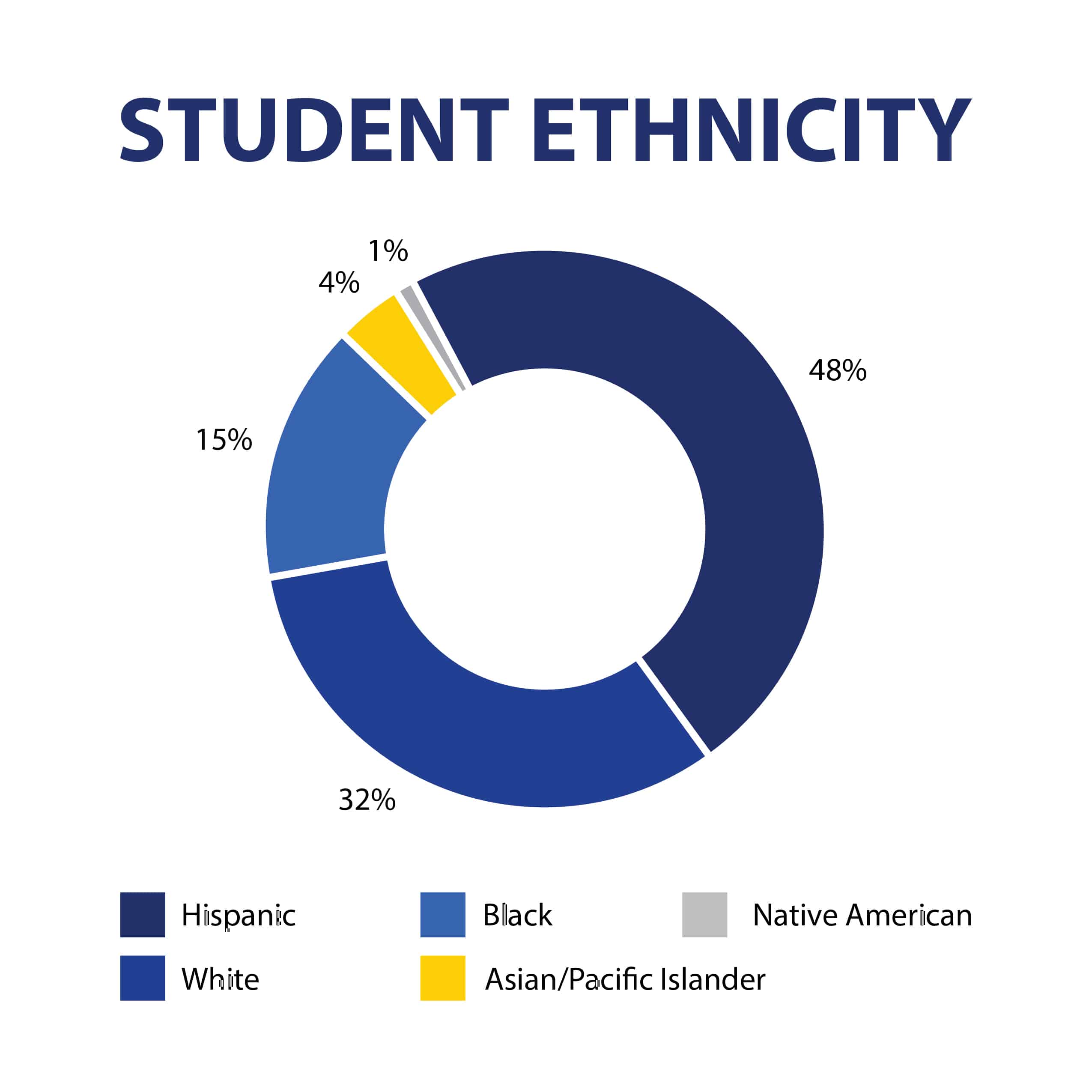 race ethnicity and education pdf