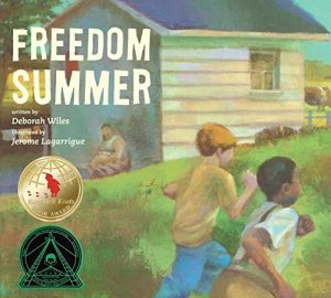 Freedom Summer Book